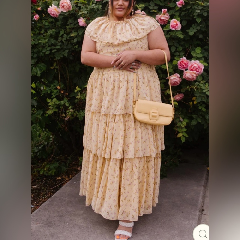 Brand New Darla Dress From Ivy City Co